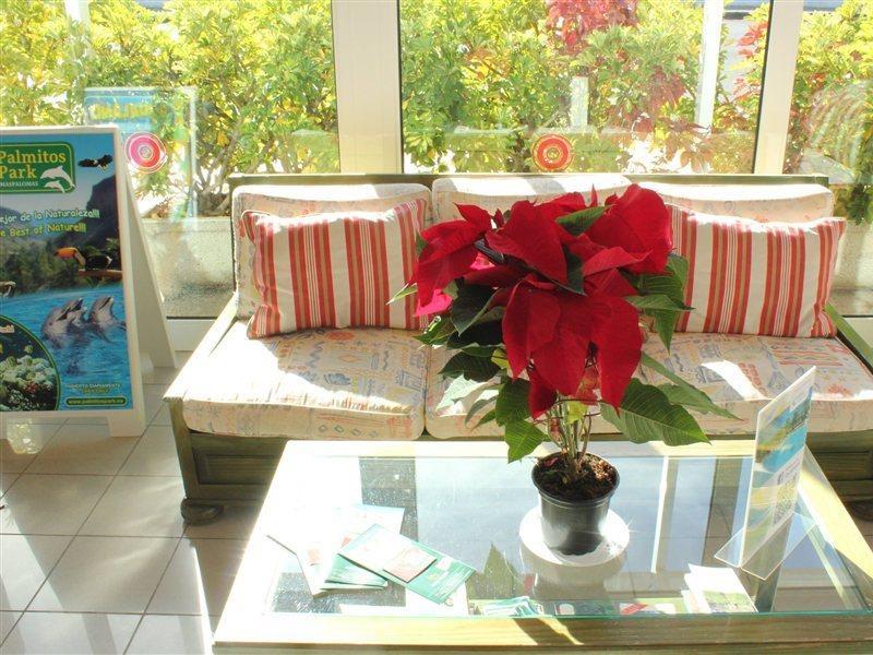 Bungalows Cordial Sandy Golf Maspalomas  Exterior photo